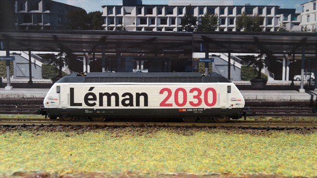 037 Re460 Leman 2030 Minitrix