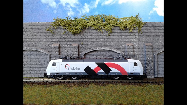 010 BR482 BLS Holcim Fleischmann